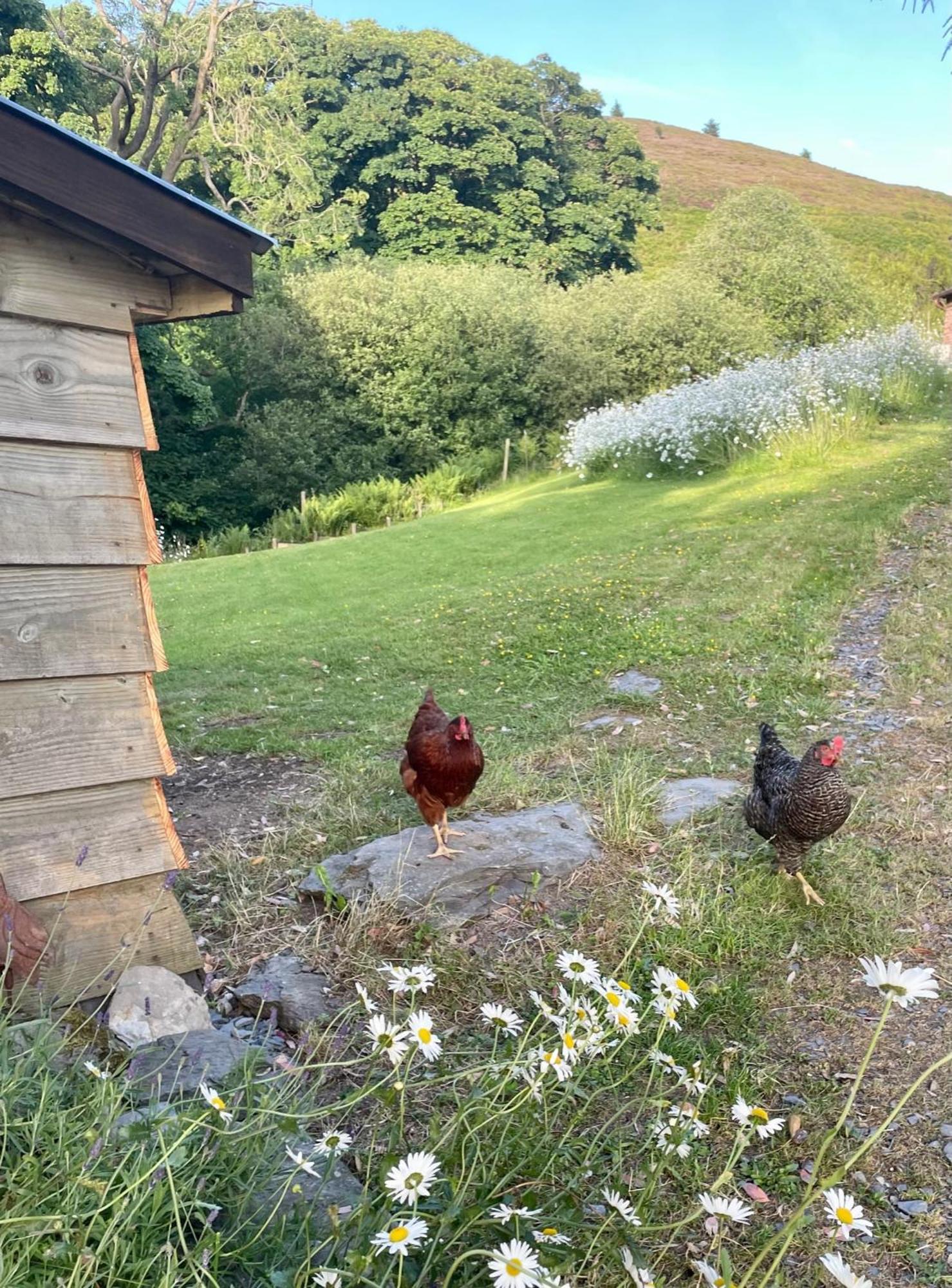 Willa Faraway Follies Llandegla Zewnętrze zdjęcie